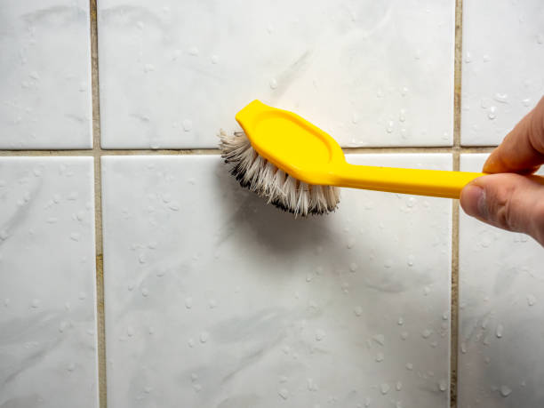 Best Mold Cleaning Services  in Harrison, WI