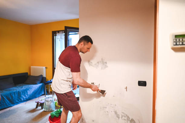 Best Black Mold Removal  in Harrison, WI